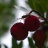20140831-balade_nature-140.jpg