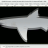 20161220-requin_oignon.png